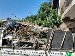 Best Moving and Downsizing Cleanouts  in Scottville, MI