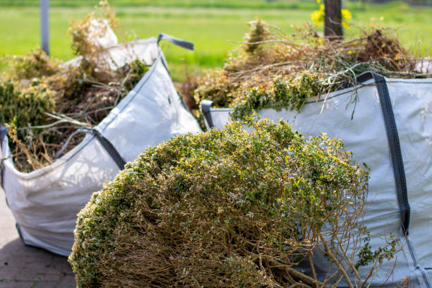 Best Demolition Debris Removal  in Scottville, MI